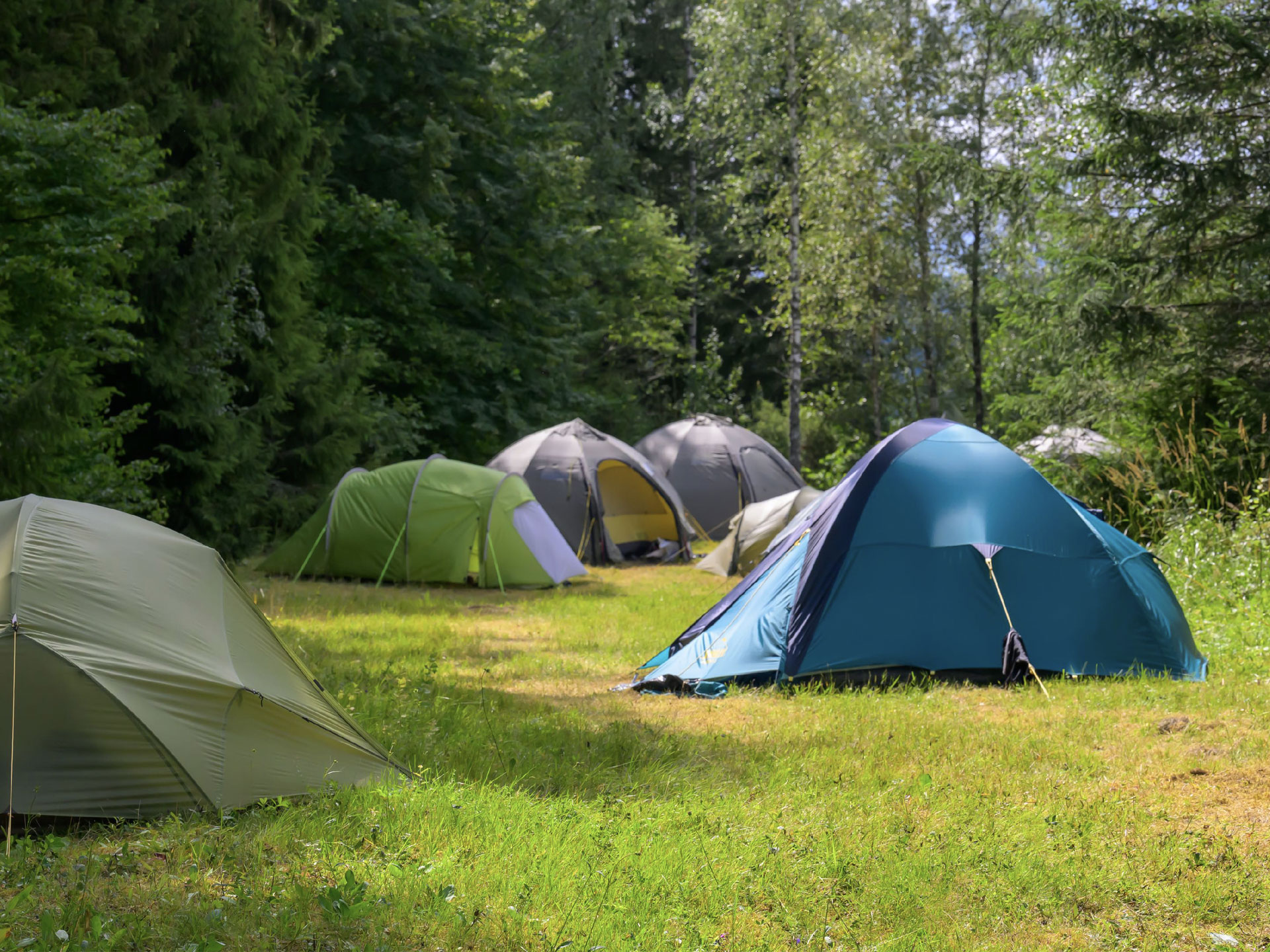 LifeStyleSTAY - Nussviken: tent spot
